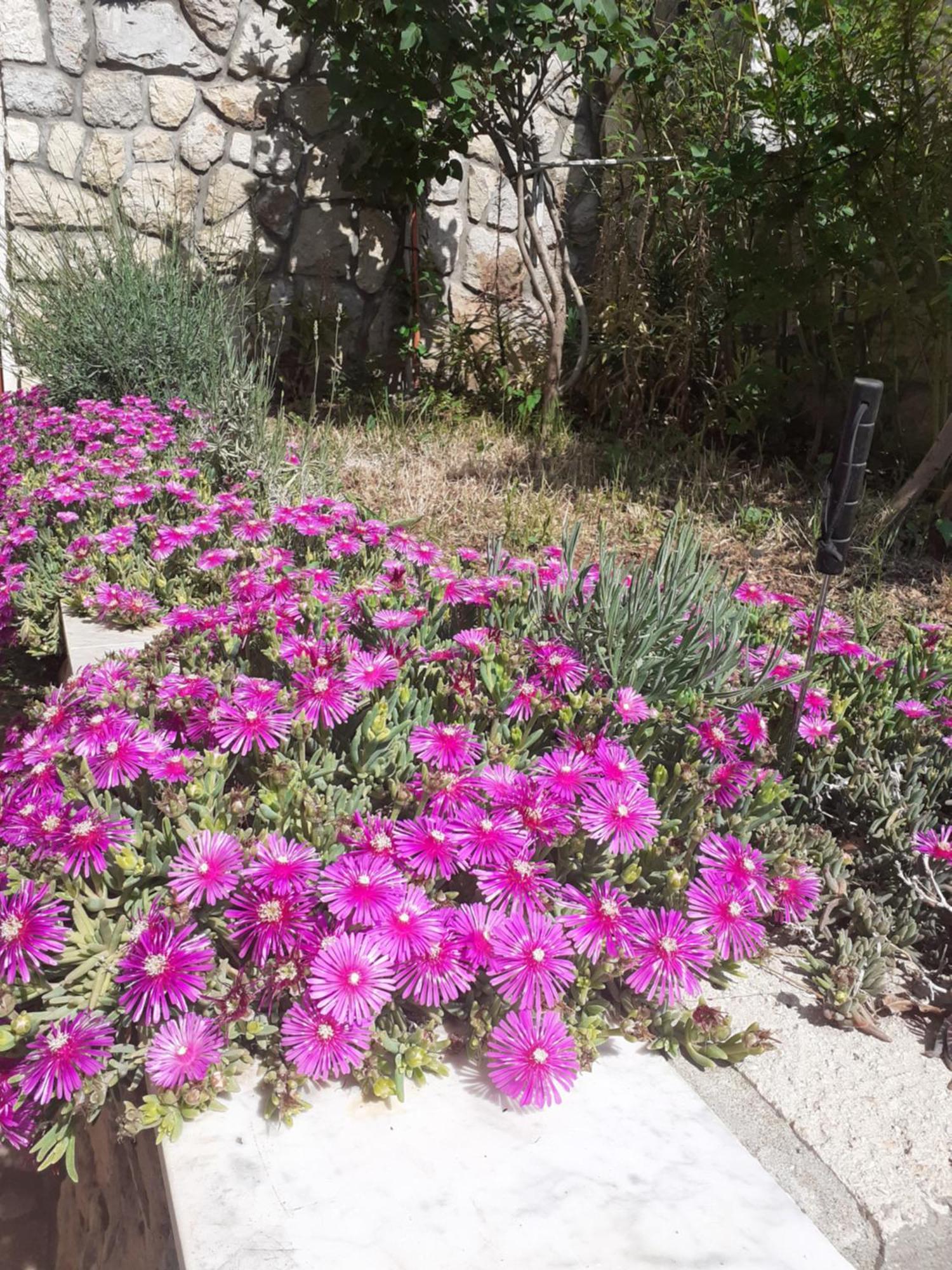 Dada Senj (Lika-Senj) Quarto foto